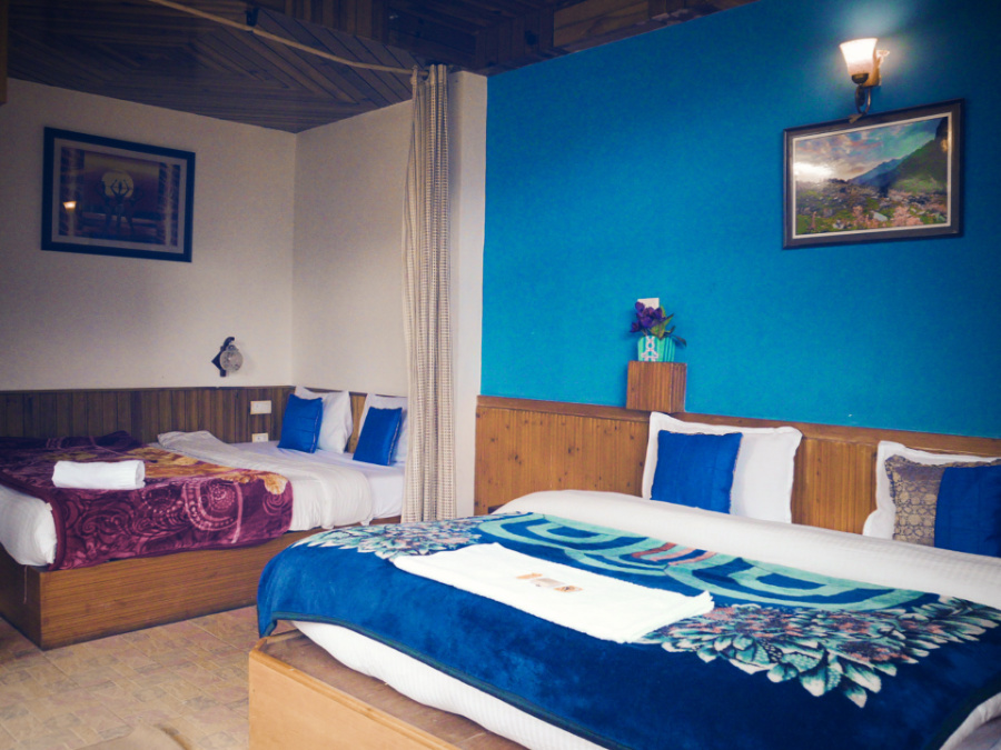 Mridula Cottage Manali45